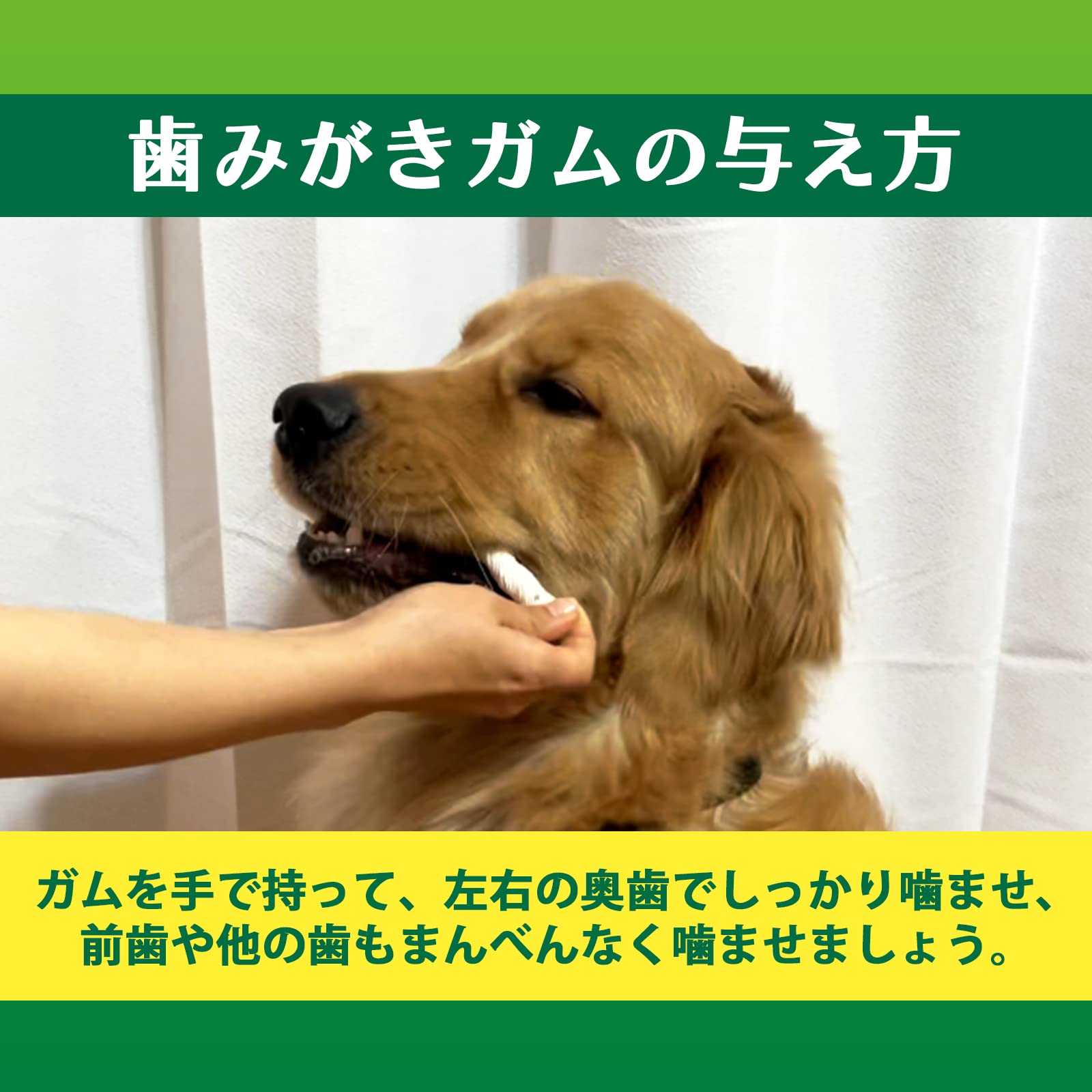 Amazon.co.jp: ライオン ペットキッス PETKISS 犬用おやつ 食後の
